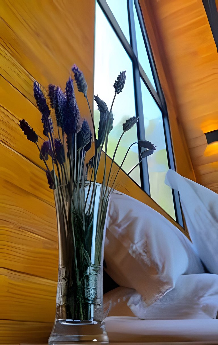 Cabana Tempo | 2h30 SP | Vista Única | Cama King